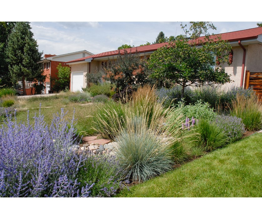 colorado-springs-utilities-xeriscaping-southwest-spin-xeriscape